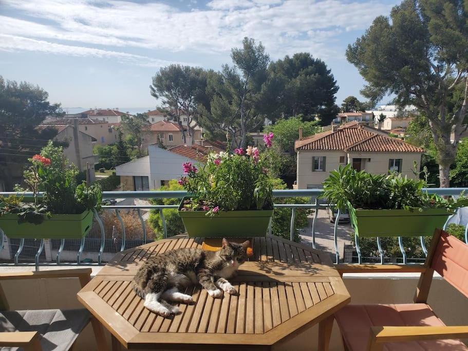 Lou Beach Home 75 M2 A 300 M De La Plage Avec Vue Mer لا سيوتا المظهر الخارجي الصورة